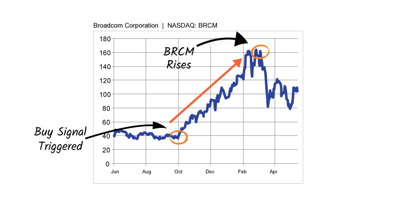 BRCM-basic